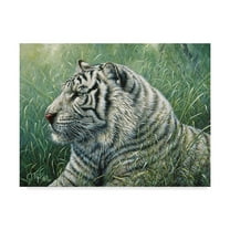 Trademark Fine Art 'White Tiger' Canvas Art by Jeff Tift