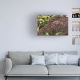 thumbnail image 3 of Kurt Shaffer Photographs 'Red Berries Of October' Canvas Art, 3 of 4