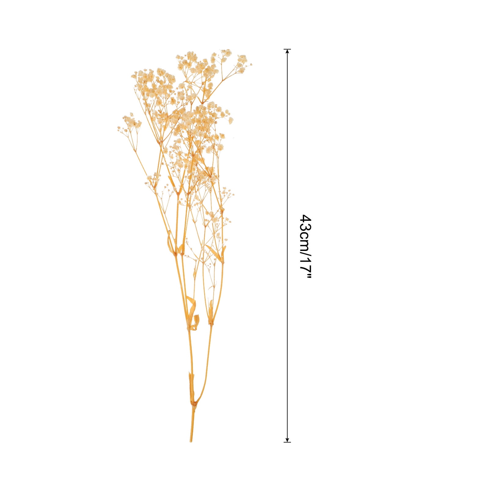 Uxcell Dried Baby's Breath Flower 17 Inch White Natural Baby's Breath Branches for Wedding Party Home Decoration 1Pcs