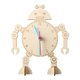 thumbnail image 3 of Kits de modelos de experimentos científicos de madera para hacer uno mismo, modelo de reloj para hacer uno mismo, material hecho a mano estilo B, 3 of 9