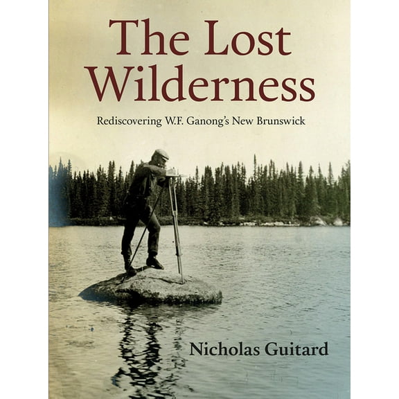The Lost Wilderness (Paperback)