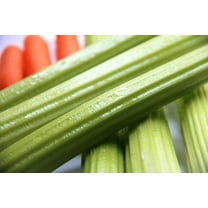 1000 Seeds TENDERCRISP CELERY Stalks & Leaves Apium Graveolens Vegetable Seeds