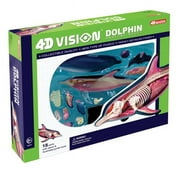 Tedco Toys 4D Vision Dolphin Anatomy Model
