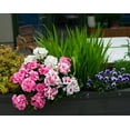 thumbnail image 6 of Morttic 2PCS 14'' Artificial Geraniums Silk Flowers Outdoor Garden Hanging Basket Porch Home Decor, 6 of 7