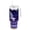 Seagulls and the Beach, variant on 40 oz Insulated Stainless Steel Tumbler Double Wall Stainless Steel Tumbler with 2-Way Drinking Red White and Blue Rooster