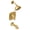 Brushed Gold, variant on Moen T2693ep Voss Posi-Temp Pressure Balanced Tub And Shower Trim - Black
