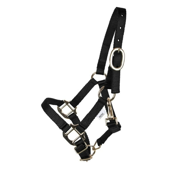 Dura-Tech Miniature Double Ply Nylon Halter for Horses | Color Black