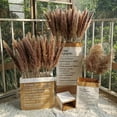 thumbnail image 5 of Vikakiooze 2022 Fall Decorations for Home, Natural Dryness Wedding Bouquet is A Favorite Wedding Color Within The Natural Dried Pampas Grass Decor, 5 of 5