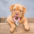 thumbnail image 5 of Durable Interactive Dog Chew Toy for Aggressive Chewers Long Lasting Bone Design Promotes Health and Playful Engagement for All Sized Dogs, 5 of 5