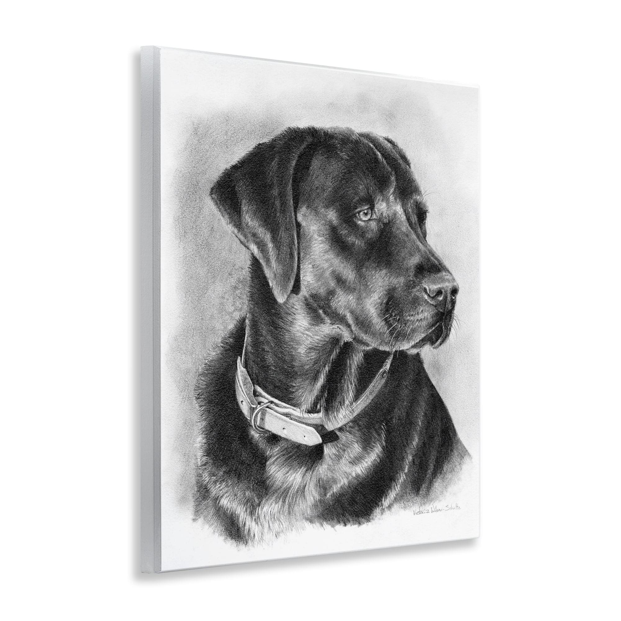 Stupell Industries Black Lab Drawing Animals & Insects Drawing Unframed Art Print Wall Art, 11 x 14