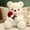 White, variant on Dvkptbk Valentines Day Decorations Dolls Valentine's Day Gift Plush Toy Rose Bear Cuddly Doll Girl Doll Valentines Day Gifts for Her (23cm/9.05", White)