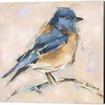 thumbnail image 2 of Great Art Now Bird Variety by Ethan Harper 2 Piece Canvas Art Set Each 14W x 14H, 2 of 3