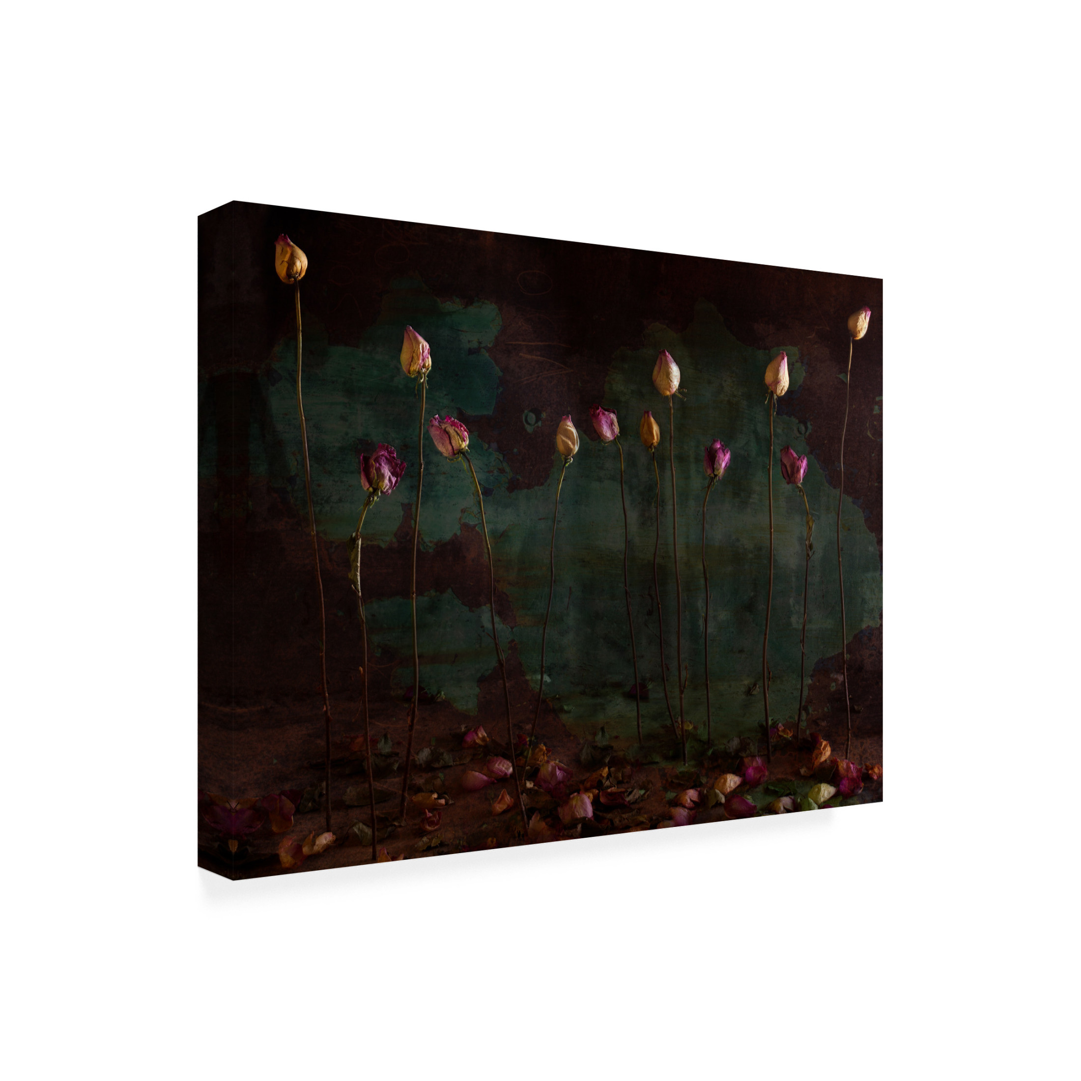 Canvas Wall Art - Golubeva Nataly 'Lees Of Life' Wall Art for Living Room, Bedroom, or Office D?cor by Trademark Fine Art - 24 x 18 Inches