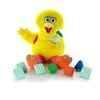 Play & Teach Big Bird