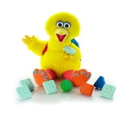 Play & Teach Big Bird
