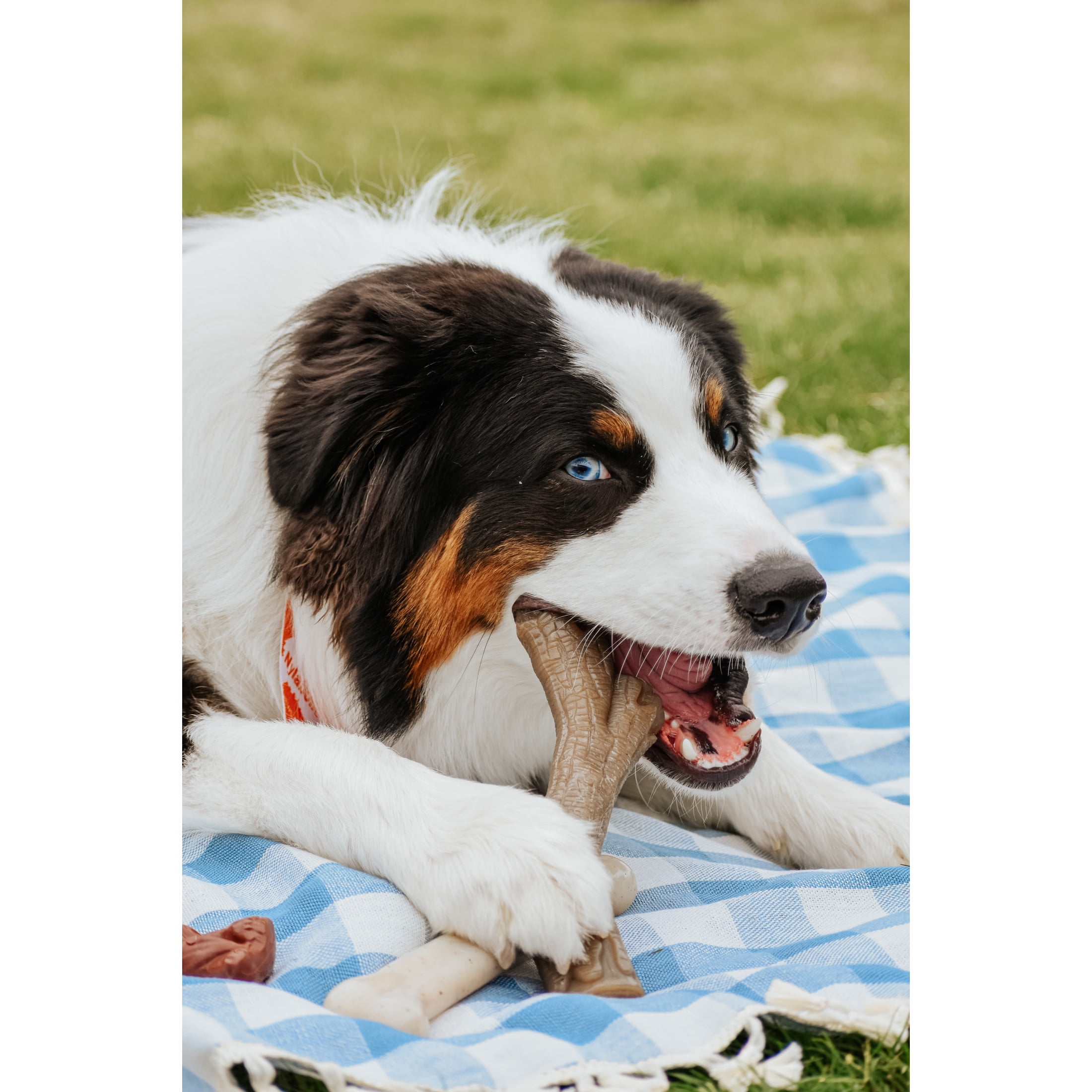 (3 pack) Nylabone Gourmet Style Dog Chew Toy Stick Chicken X-Large (50+ lbs)