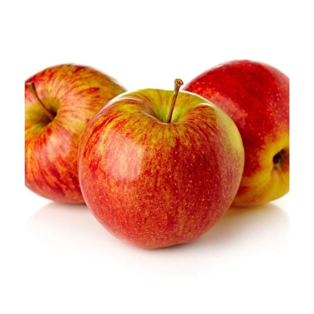 Expert Gardener 3-4 ft. tall Northern Spy Apple Live Tree in 7-Gallon Grower Pot