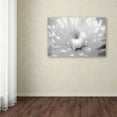 thumbnail image 3 of PIPA Fine Art 'Infrared Flower 2' Canvas Art, 3 of 4