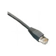 thumbnail image 2 of Black Box GigaTrue 550 - Patch cable - RJ-45 (M) to RJ-45 (M) - 25 ft - CAT 6 - booted, snagless, stranded - gray, 2 of 6