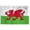 4x6 ft Nylon Flag, variant on AGAS Wales Flag 4x6 inch - 11" Plastic Pole 100% Polyester Stitched Edges Welsh National Mini Flag on a Stick