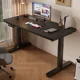 thumbnail image 3 of Mesa elevadora eléctrica de madera maciza, mesa de ordenador inteligente, mesa elevadora de deportes electrónicos, escritorio de oficina de aprendizaje para el hogar, banco de trabajo, escritorios par, 3 of 4