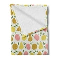 thumbnail image 2 of Vegan Soft Flannel Fleece Throw Blanket, Pastel Colored Graphic Pattern of Apples and Pears Nutrition Vitamins Healthcare, Cozy Plush for Indoor and Outdoor Use, 70" x 90", Multicolor, by Ambesonne, 2 of 5