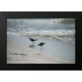 thumbnail image 2 of Head, Danny 24x17 Black Modern Framed Museum Art Print Titled - Wading II, 2 of 5