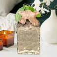 thumbnail image 6 of Glass Flower Vases Hydroponic Plant Pots Table Centerpiece Desk Organizer Plants Holder Bud Vase for Office Bookshelf Holiday 18cmx35cm, 6 of 8