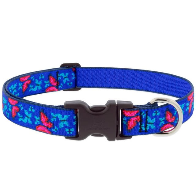 Collar ajustable para perros LupinePet Social Butterfly Blue L