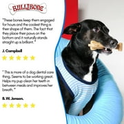 Bullibone SuperBrush: Dental Dog Chew Bone Teeth Cleaning Easy Hold Dog Toothbrush - Long Lasting Nylon Chew Toy - 2 Pack