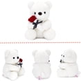 thumbnail image 3 of Oso de peluche HWD 25 cm con peluche de peluche rosa para San Valentín, 3 of 6