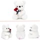 thumbnail image 3 of Oso de peluche HWD 25 cm con peluche de peluche rosa para San Valentín, 3 of 6