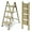 Gold, variant on 3 Step Lightweight Aluminum Folding Ladder, Portable Step Stool with Wide Anti-Slip Pedals, 330 lbs Capacity for Home,Cleaning Tasks(White&Woodgrain)