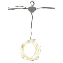 800Lt LED Warm White Curtain 10x10 Cw