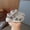 Grey, variant on Dpytoraw Toddler Boys And Girls Breathable Quick Drying Mesh Sports Beach Sandals Lightweight Closed Toe Sandals Toddler Sandals Closed Toe Size US:5