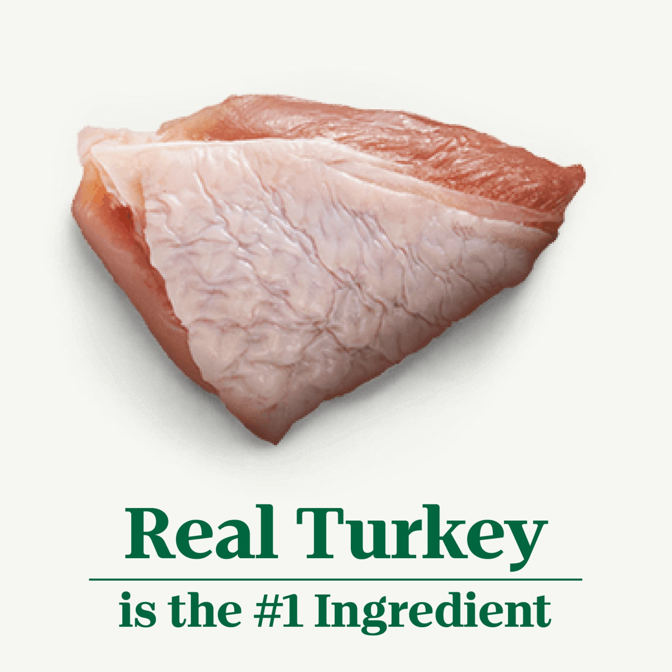 Nutro Natural Choice Cuts In Gravy Turkey Recipe Adult Wet Dog Food, 3.5 oz Can