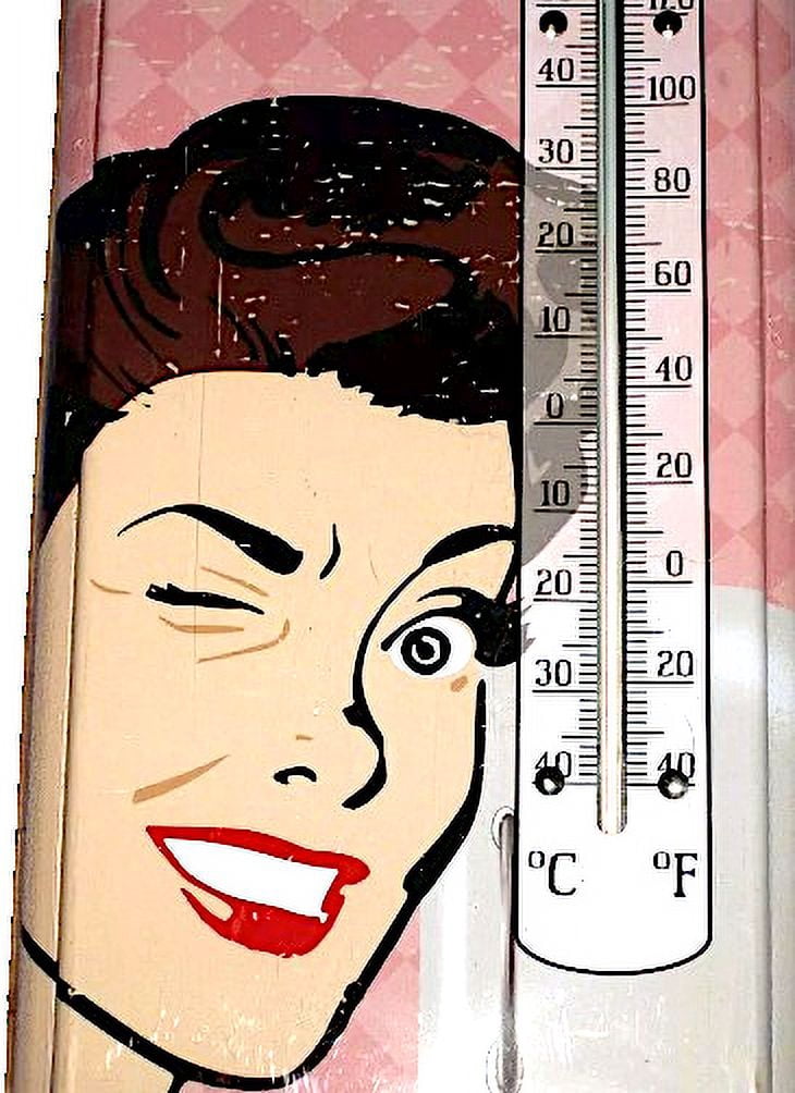 Wall Hanging Thermometer Metal ~ 22 Gauge Metal Lithograph Print Measures 5" x 17" Indoors or Outdoors (Todays Menu)