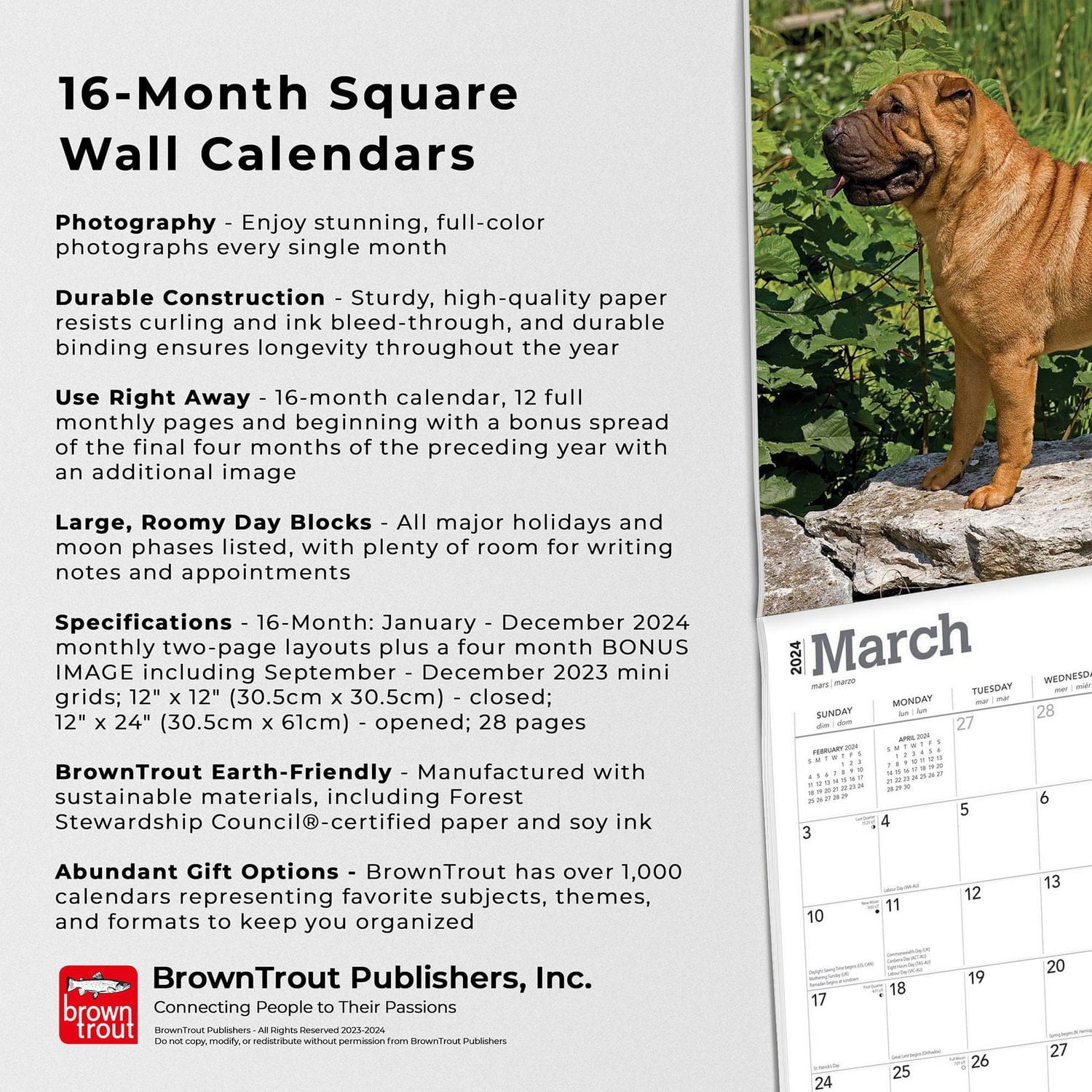 BrownTrout Shar Pei 2024 Mur Carré 30.48x60.96 CM, 9781975464950