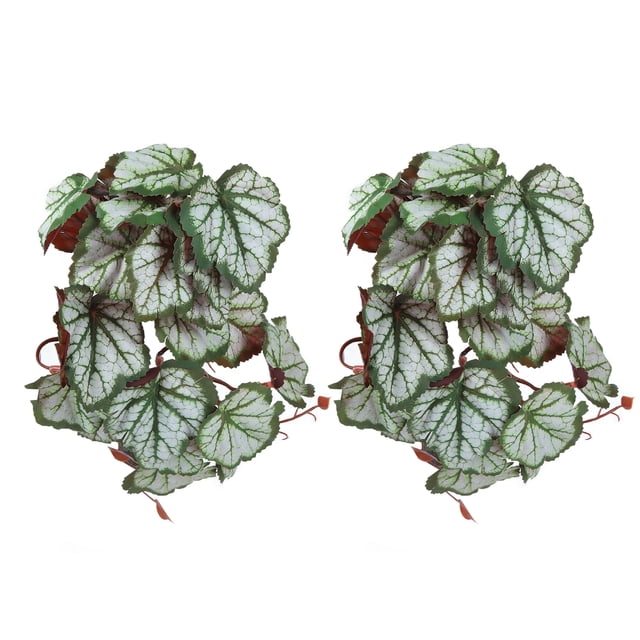 2 piezas de plantas acuáticas artificiales de simulación de enredadera con hojas de plástico realistas, decoración con ventosa para pecera, hojas de Heuchera