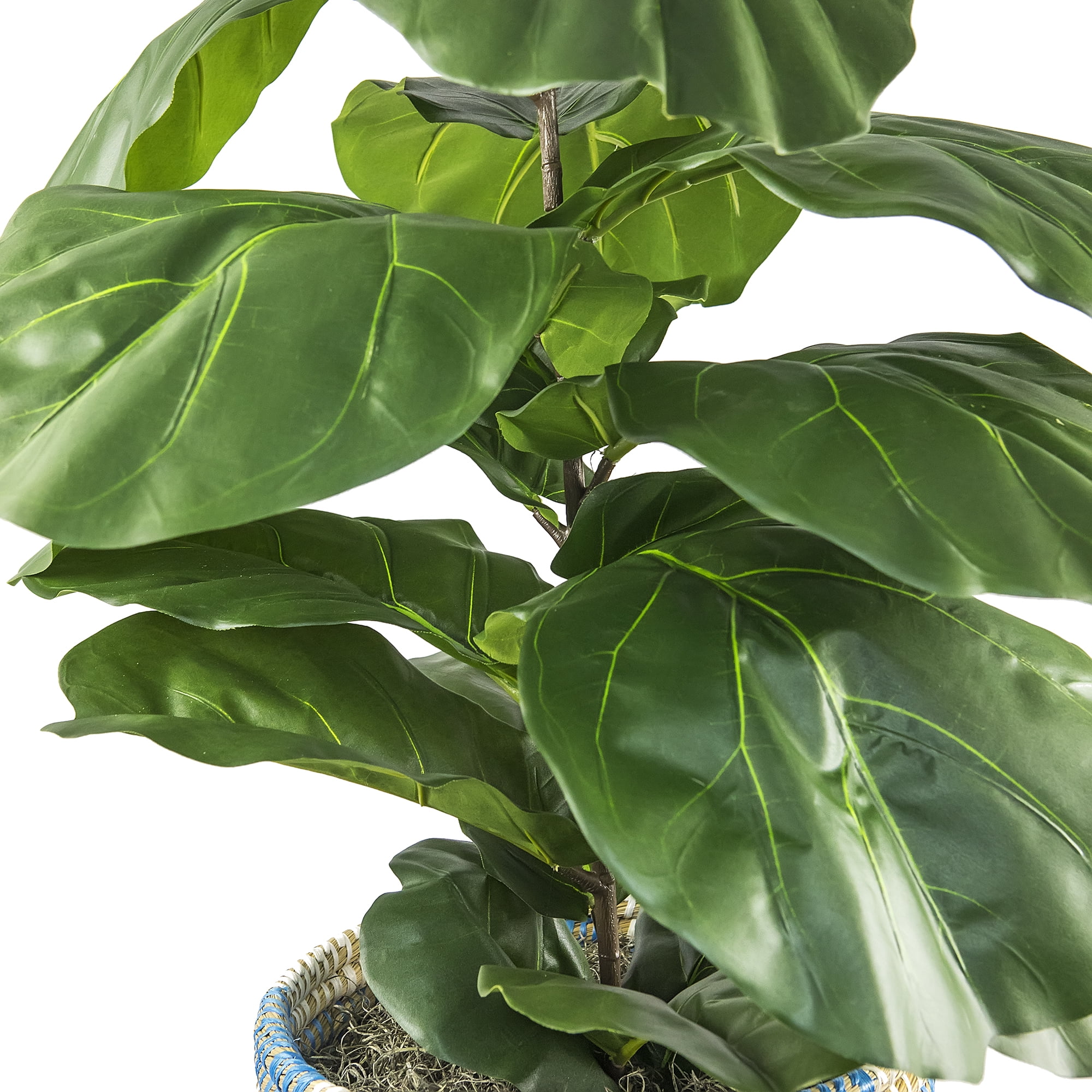 LCG Florals Artificial Plant, Deluxe Fig Plant, 4 ft, Blue and Cream Handwoven Basket
