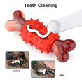 thumbnail image 2 of Jouets à Mâcher pour Chiens, Outil de Nettoyage des Dents de Chiot, Os à Mâcher Résistant, 2 of 3