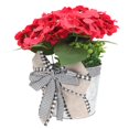 thumbnail image 3 of Red Plastic Hanging Flower Basket for Front Door Decor and Outdoor Deck Decorations 12.5 inches, 3 of 4