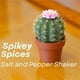thumbnail image 4 of Taza Para Condimentos Con Forma De Cactus Y Escritorio Con Saleros Con Forma De Suculentas En Flor, 4 of 7