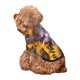thumbnail image 5 of Balery Daisy Sunflower Lazy Cat Sudadera con Capucha para Perros Pequeños – Ropa para Mascotas, Disfraz para Perros y Gatos, Ideal para Fiestas y Cosplay-X-Large, 5 of 7