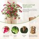 thumbnail image 5 of 5ft artificial bougainvillea tree con wood trunk y rosa flowers para indoor y outdoor use, 5 of 6
