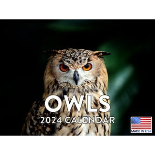 Bird Wall Calendars in Wall Calendars - Walmart.com