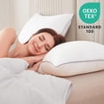 thumbnail image 4 of EcoNesxp 2-Pack 2-Piece Down Alternative Full Fill Hotel Series Bed Pillows, 4 of 5