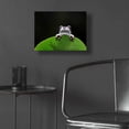 thumbnail image 5 of Epic Art 'Peekaboo' by Epic Portfolio Acrylic Glass Wall Art, 16"x12", 5 of 8