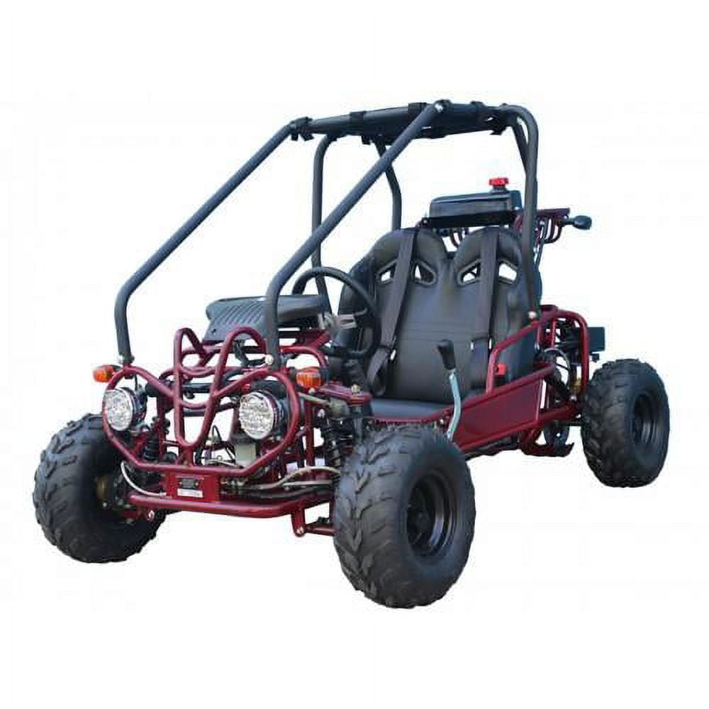 Tao Motor Upgraded GK110 110CC Gasoline Powered Go Kart for