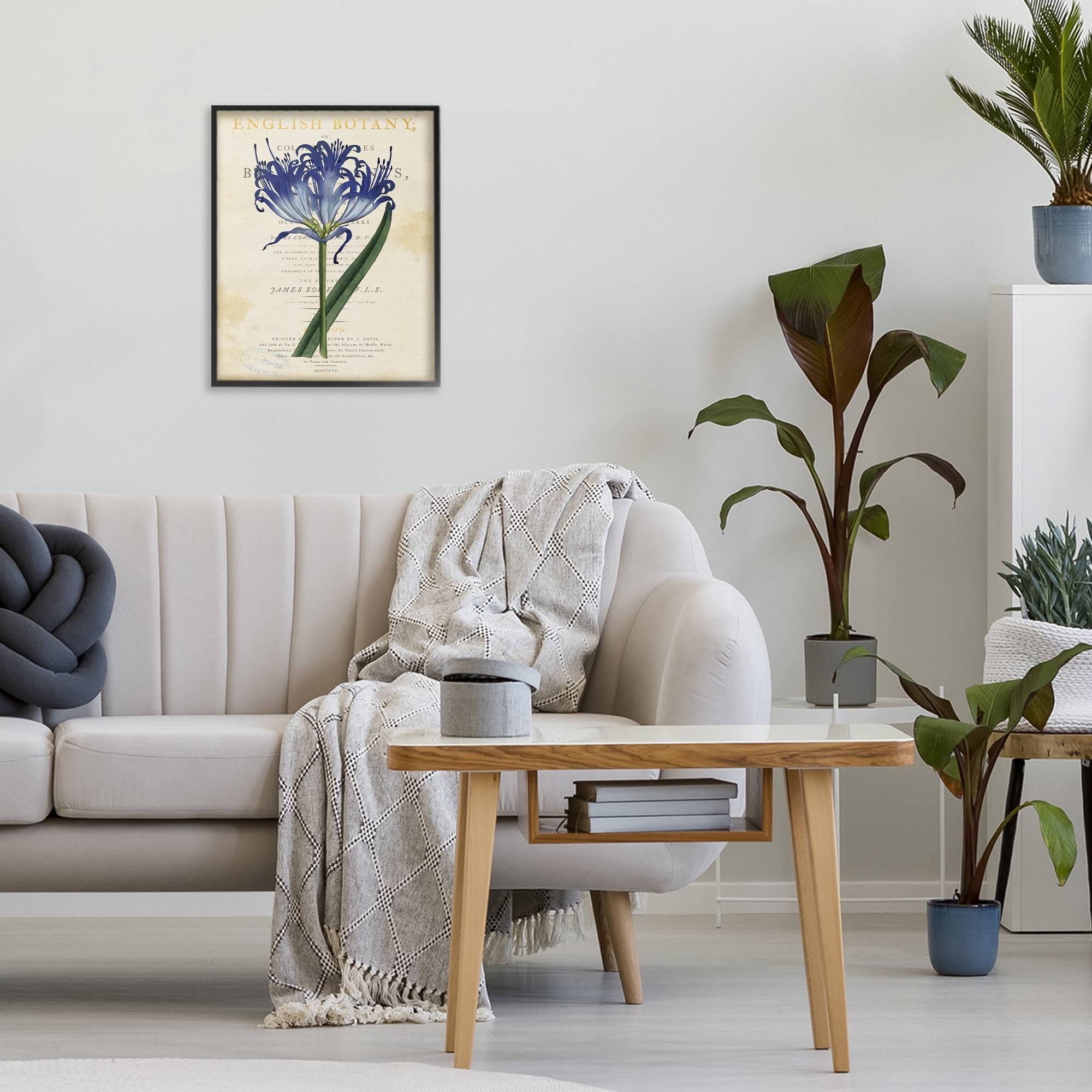 Stupell Industries English Botany Blue Floral Black Framed Giclee Art, design by Susan Arnot